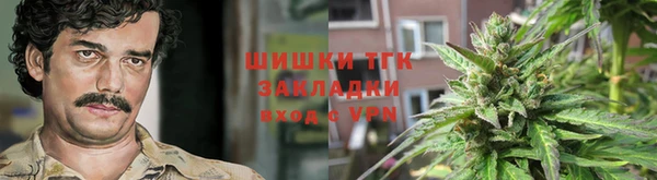 метамфетамин Ельня