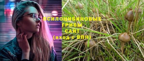 винт Слюдянка