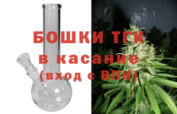 прущие грибы Дмитров