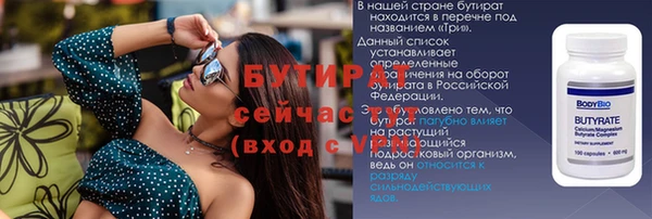 шишки Гусь-Хрустальный