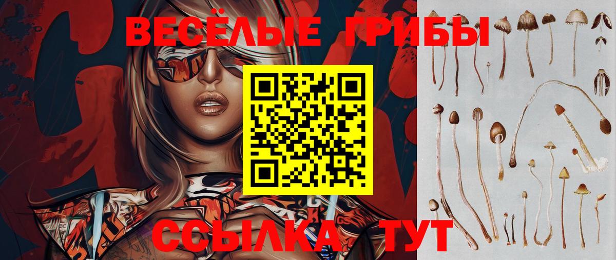 Кировск  Галлюциногенные грибы Magic Shrooms  Вход с VPN 